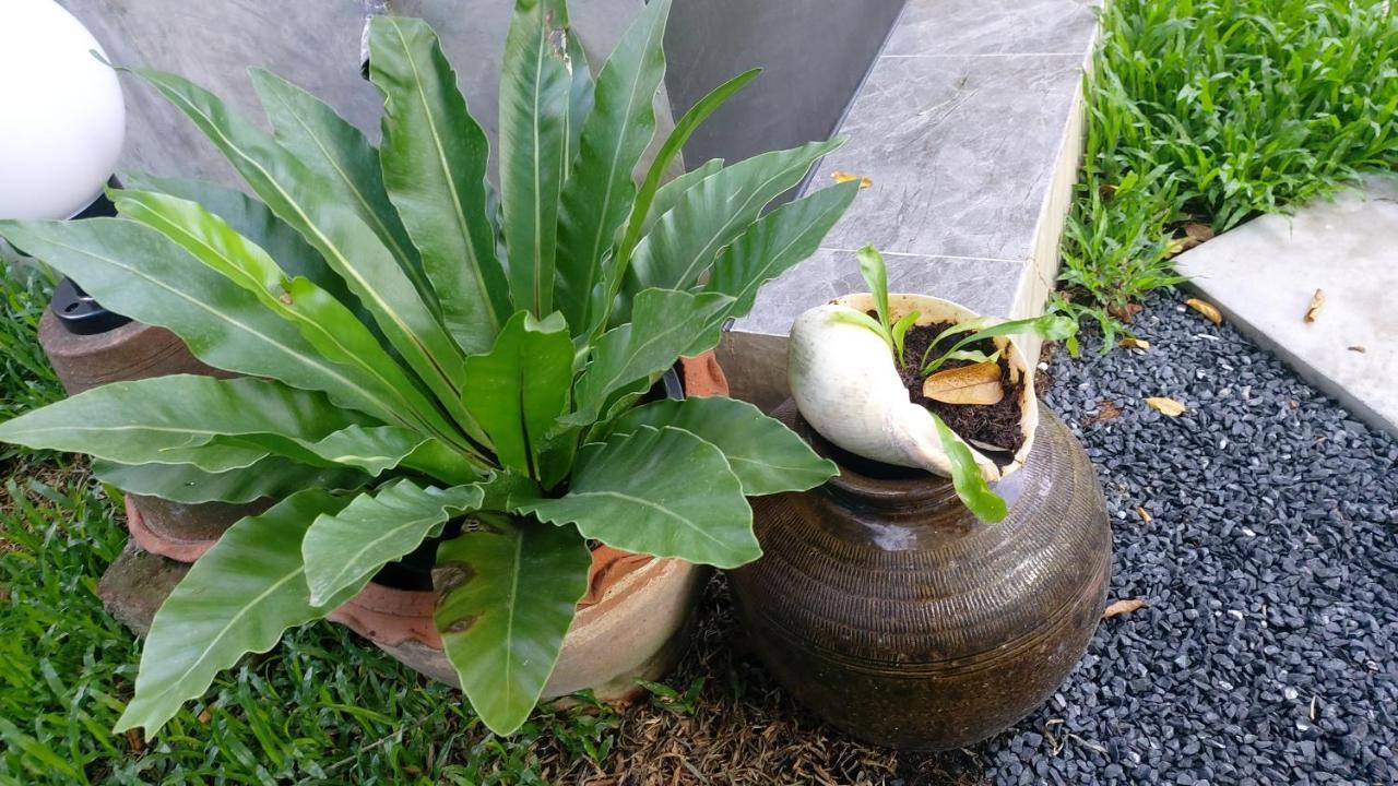 Marin' S Home Thalang Buitenkant foto
